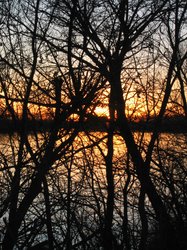 IMG_7058