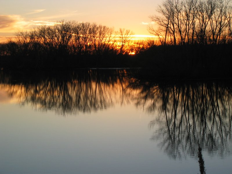 IMG_7059.JPG
