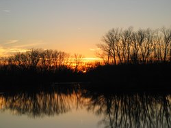 IMG_7062