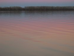 IMG_7067