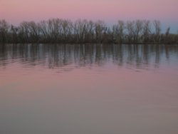 IMG_7068