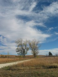 IMG_6717