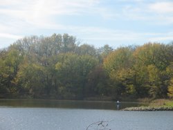 IMG_6721