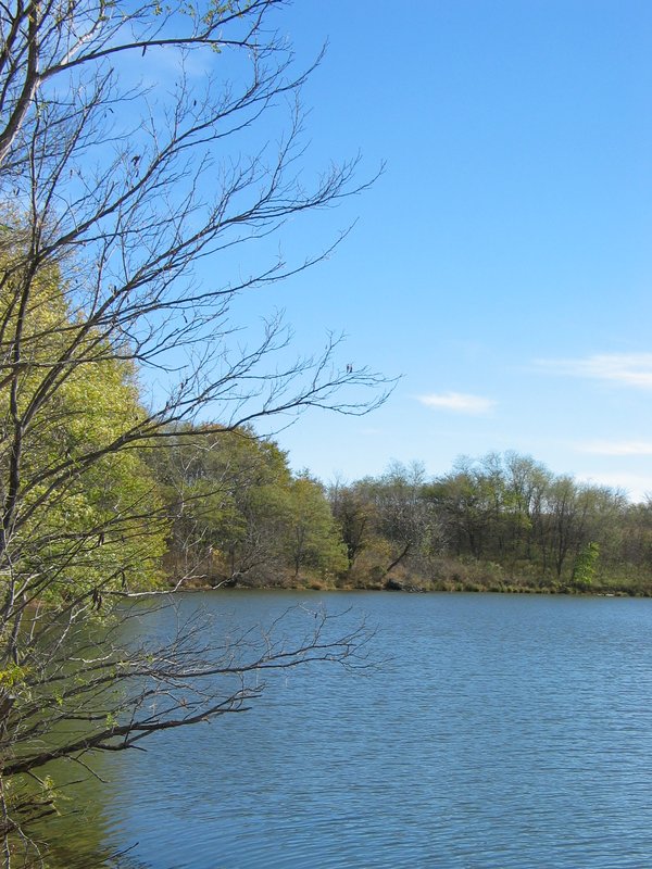 IMG_6738.JPG