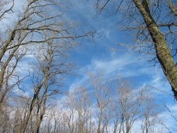 IMG_6748