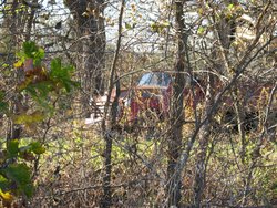 IMG_6752