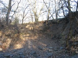 IMG_6755