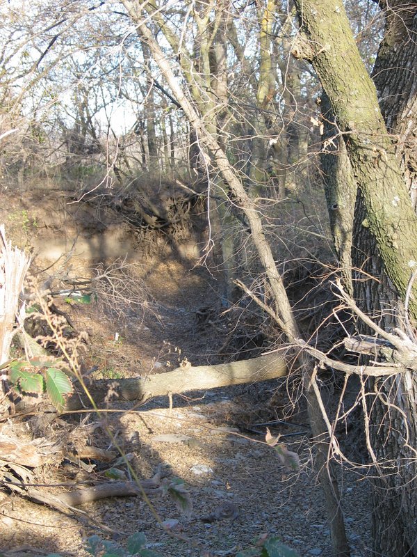 IMG_6759.JPG
