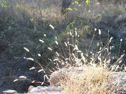 IMG_6761