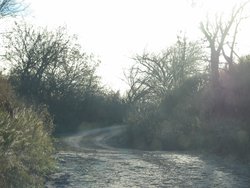 IMG_6763