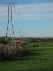 IMG_6767