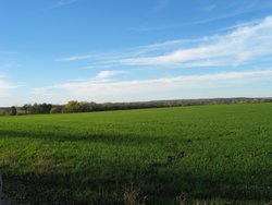 IMG_6769