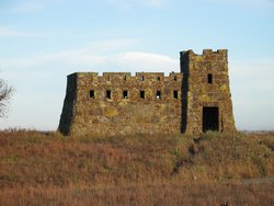 IMG_6770
