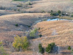 IMG_6774