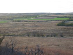 IMG_6775