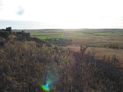 IMG_6778