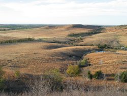 IMG_6780
