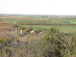 IMG_6784