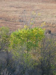 IMG_6786