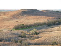 IMG_6787