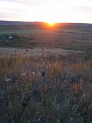 IMG_6793