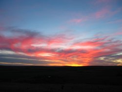 IMG_6804