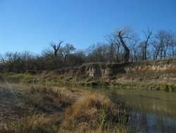 IMG_6813