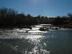 IMG_6822