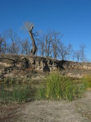 IMG_6824