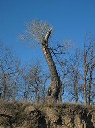 IMG_6825