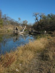IMG_6827