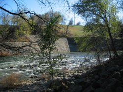 IMG_6839