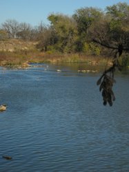 IMG_6841