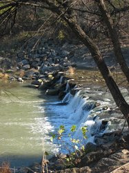 IMG_6843