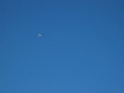 IMG_6848