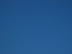 IMG_6849