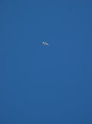IMG_6850