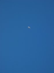 IMG_6851