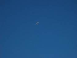 IMG_6852