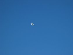 IMG_6853