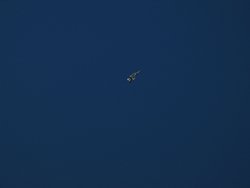 IMG_6854