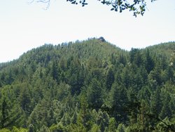 IMG_6453
