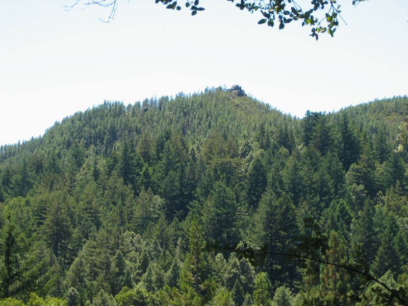 IMG_6453.JPG