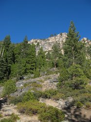 IMG_6473