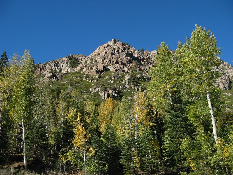 IMG_6478.JPG