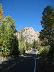 IMG_6479