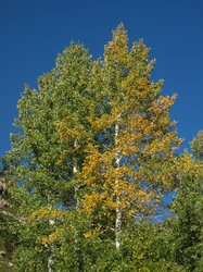 IMG_6480