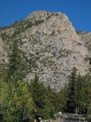 IMG_6481