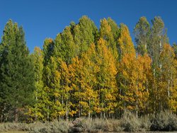 IMG_6483