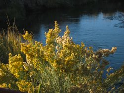 IMG_6489